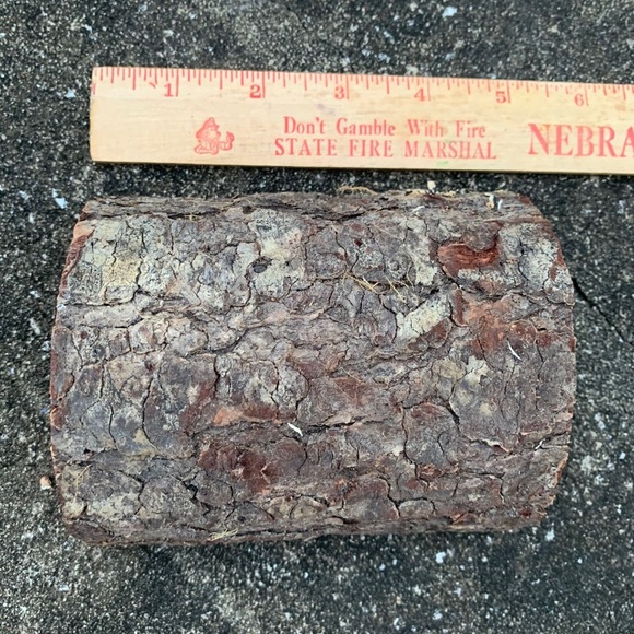 Zoo Med Habba Hut Log Hide (XS) - Picture 2 of 2